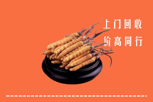 高价求购：兴市回收散虫草